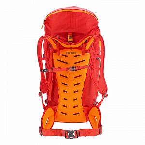 1246-6405-Salewa-Apex-Guide-45-pumpkin-back