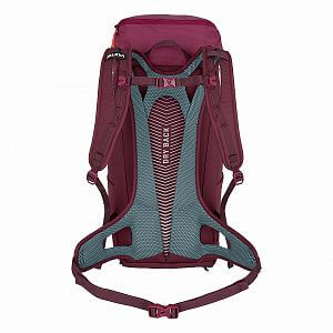 1271-1645-Salewa-Alp-Mate-30-WS-tawny-port-back