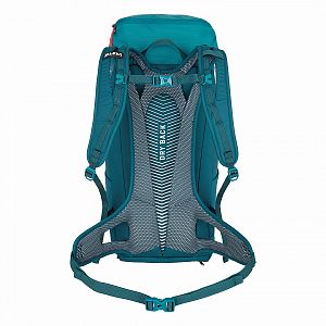 1271-3360-Salewa-Alp-Mate-30-WS-blue-coral-back