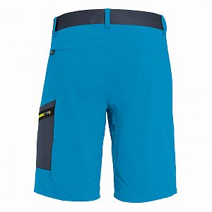 26934-8981-Salewa-Pedroc-Cargo-2-Durastretch-M-Shorts-blue-danube-back