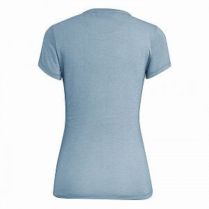27749-0345-Salewa-Eagle-Figure-Dry-S-S-Tee-W-blue-fog-melange-back