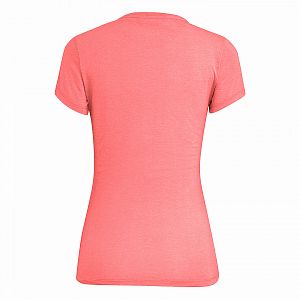 27749-6419-Salewa-Eagle-Figure-Dry-S-S-Tee-W-shell-pink-melange-back