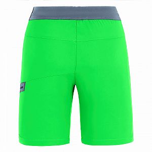 27778-5811-Salewa-Agner-DST-B-Shorts-fluo-green-back