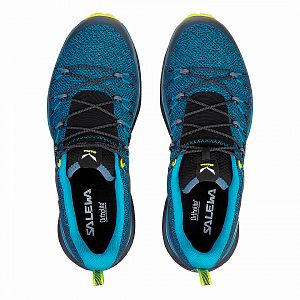 61368-8376-Salewa-MS-Dropline-blue-danube-ombre-blue-top