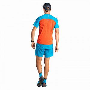 70964-8882-Dynafit-Alpine-Pro-S-S-Tee-M-frost-back