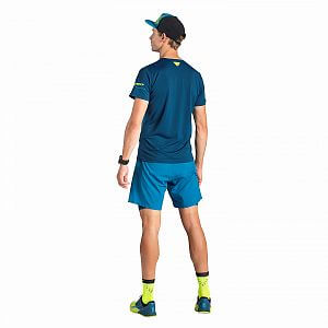 71188-8761-DYNAFIT-Alpine-Tee-SS-M-mykonos-blue-runner-back