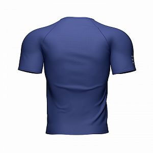 AM00157B_535-Compressport-Training-SS-Tshirt-sodalite-primrose-back