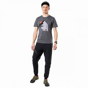 Dynafit 24/7 Artist Series Cotton T-Shirt Men magnet descent