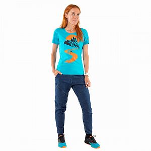 Dynafit 24/7 Artist Series Cotton T-Shirt W ocean/running1