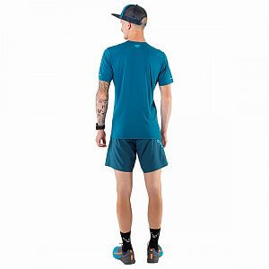 Dynafit Alpine 2 S/S Tee M frost1