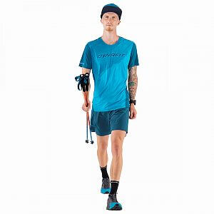 Dynafit Alpine 2 S/S Tee M frost2