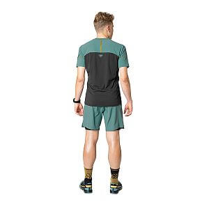 Dynafit Alpine Pro 2/1 Shorts M atlantic zadní pohled na postavě
