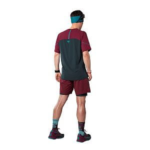 Dynafit Alpine Pro S/S Tee M blueberry/burgundy zadní pohled na postavě