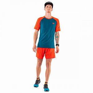 Dynafit Alpine Pro S/S Tee M dawn1