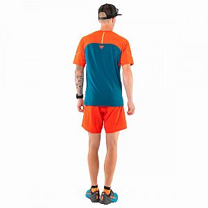 Dynafit Alpine Pro S/S Tee M dawn2