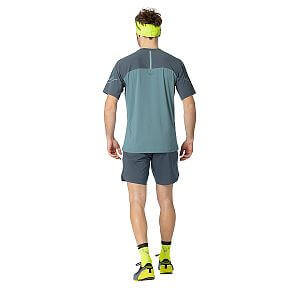 Dynafit Alpine Pro S/S Tee M smoke blue zadní pohled na postavě