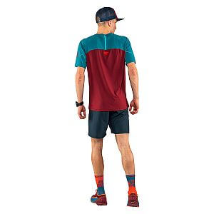 Dynafit Alpine Pro S/S Tee M syrah zadní pohled na postavě