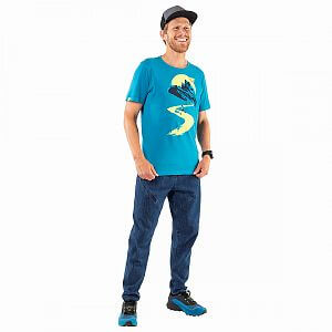 Dynafit Artist Series Cotton T-Shirt M reef/running1