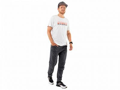 Dynafit Graphic Cotton S/S Tee M nimbus