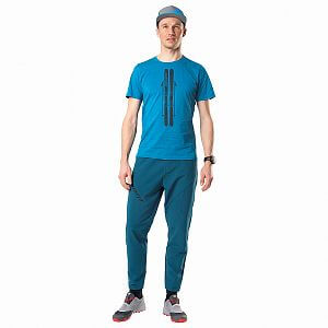DYNAFIT Graphic Cotton SS Tee M reef skis1