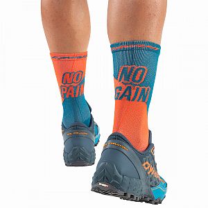 Dynafit No Pain No Gain Socks dawn/reef2