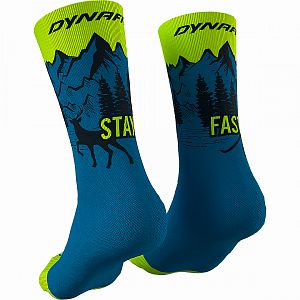 Dynafit Stay Fast Socks reef3