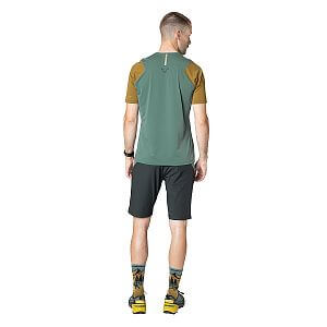 Dynafit Transalper Light Dynastretch Shorts Men atlantic zadní pohled na postavě