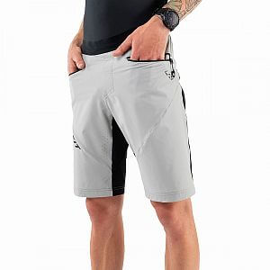 Dynafit Traverse Dynastretch Shorts M alloy2