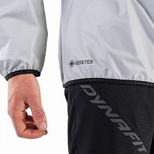 Dynafit Traverse Gore-Tex Jacket Men alloy2