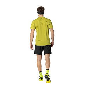 Dynafit Traverse T-Shirt M golden lime zadní pohled na postavě