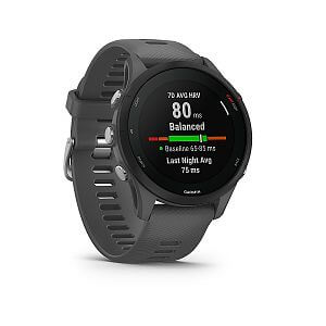 Garmin Forerunner 255 Basic slate gray