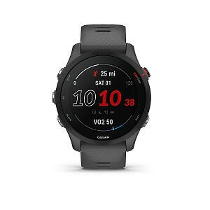 Garmin Forerunner 255 Basic slate gray