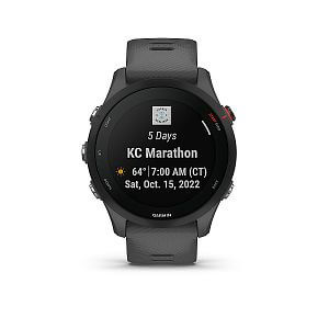 Garmin Forerunner 255 Basic slate gray