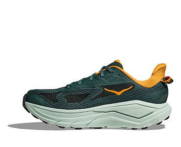 Hoka Challenger 8 M bay leaf / sage