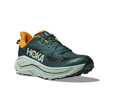 Hoka Challenger 8 M bay leaf / sage