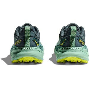 Hoka One One W Challenger ATR 7 GTX trellis / balsam green zadní pohled