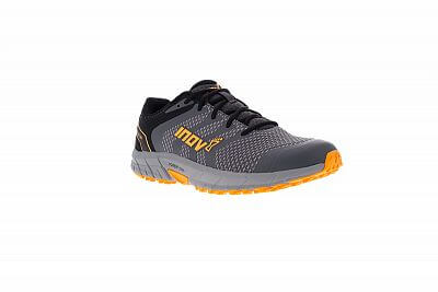 INOV-8 PARKCLAW 260 M (S) grey/black/yellow1