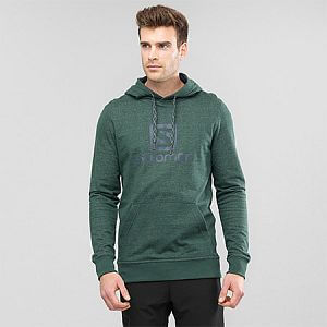 Pánská mikina SALOMON Logo Hoodie M green geables 1