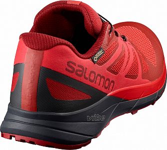 pánské trailové boty SALOMON SENSE RIDE GTX  INVISIBLE FIT RD DA_1