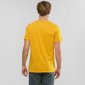 Pánské triko SALOMON X ALP Graphic SS TEE M saffron 2