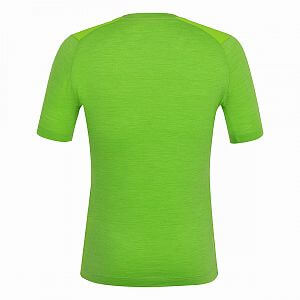 Salewa Agner AM T-Shirt M pale frog1