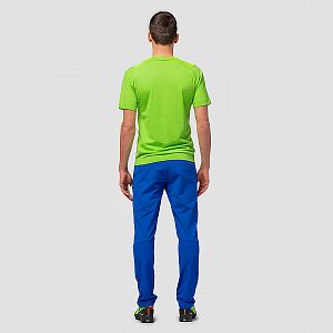 Salewa Agner DST M Pant electric zadní pohled na postavě