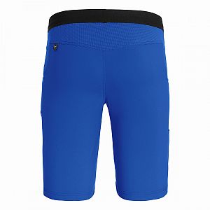 Salewa Agner Light DST M Shorts electric1