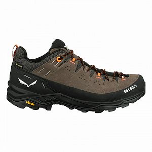 Salewa Alp Trainer 2 GTX M bungee cord / black1