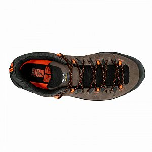 Salewa Alp Trainer 2 GTX M bungee cord / black2