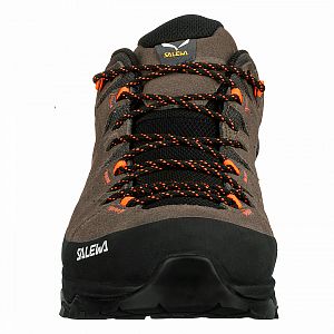 Salewa Alp Trainer 2 GTX M bungee cord / black3