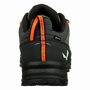 Salewa Alp Trainer 2 GTX M bungee cord / black4