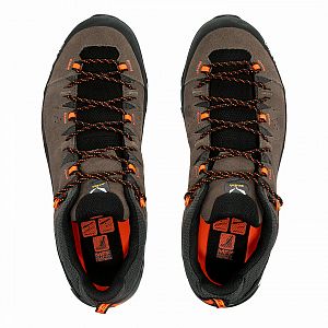 Salewa Alp Trainer 2 GTX M bungee cord / black5