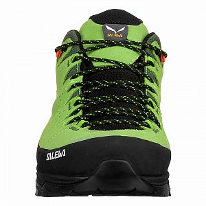 Salewa Alp Trainer 2 GTX M pale frog/black2