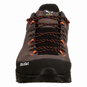 Salewa Alp Trainer 2 M bungee cord/black2